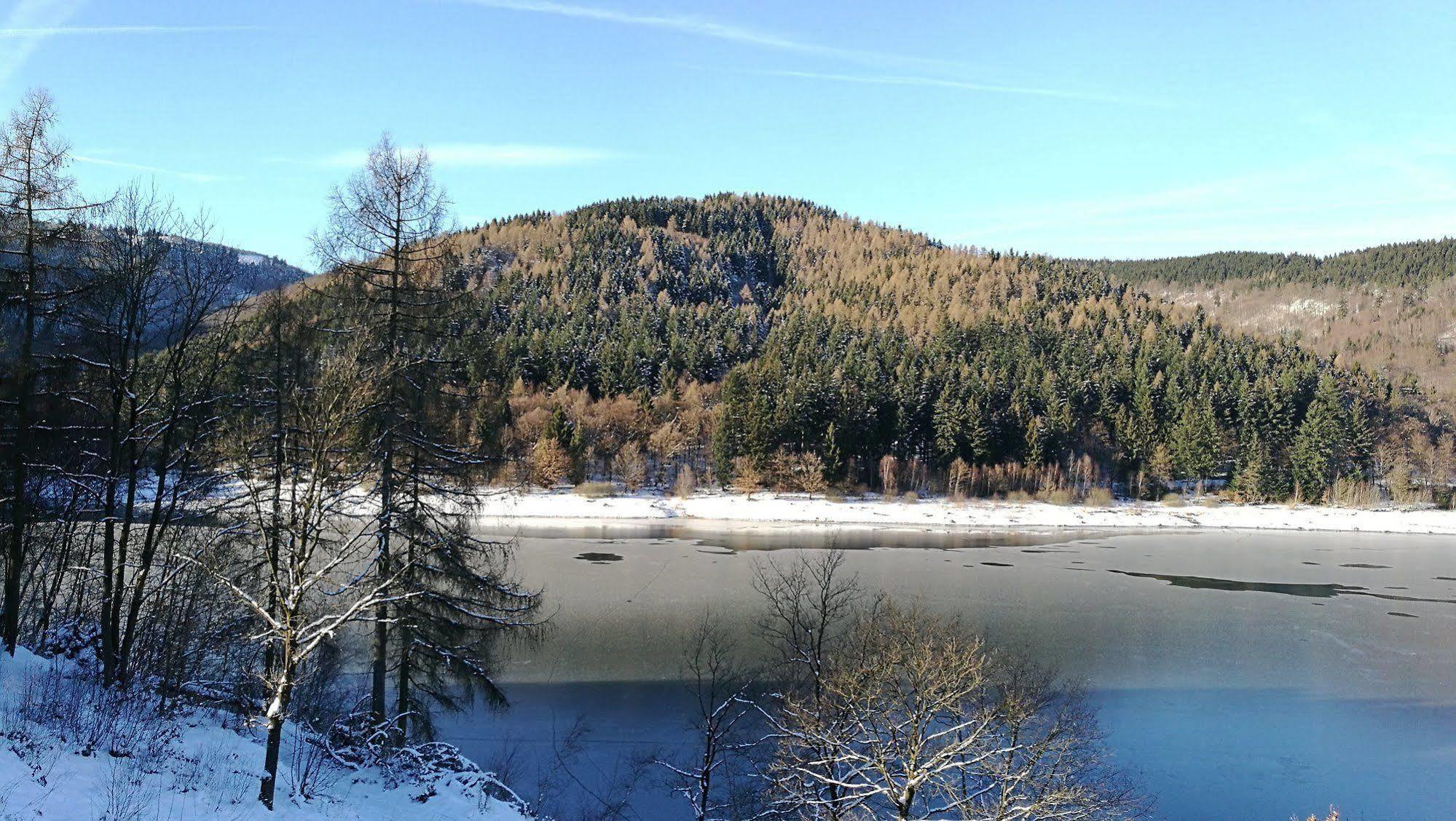 Hotel Berghof Am See Lautenthal Екстер'єр фото